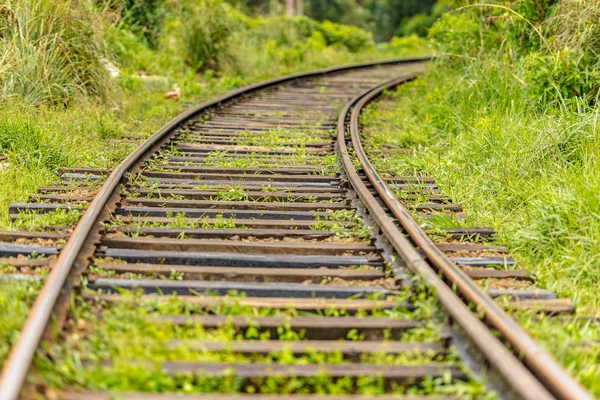 Railys Train Tea Factory Tea Plantation Haputale Sri Lanka — Stock Photo, Image