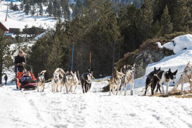 Grau Roig Andorra: 18 Şubat 2020: Grau Roig 'de köpekler tarafından çekilen kızaklar. Grandvalira İstasyonu, Grau Roig Andorra.