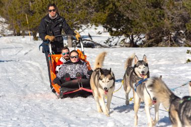 Grau Roig Andorra: 18 Şubat 2020: Grau Roig 'de köpekler tarafından çekilen kızaklar. Grandvalira İstasyonu, Grau Roig Andorra.
