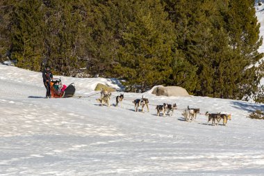 Grau Roig Andorra: 18 Şubat 2020: Grau Roig 'de köpekler tarafından çekilen kızaklar. Grandvalira İstasyonu, Grau Roig Andorra.