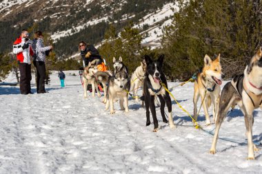 Grau Roig, Encamp, Andorra karlı manzara köpekler tarafından çekti kızaklarımız.