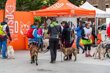 Kamp, Andorra: 1 Mart 2020: Encamp 'deki amatör yarışta insanlar ve köpekler. Andorra 'da Kanikros.