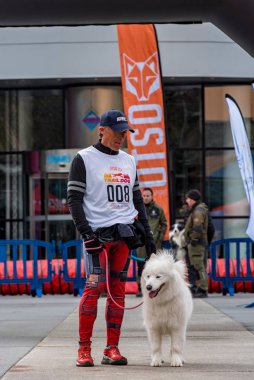 Kamp, Andorra: 1 Mart 2020: Encamp 'deki amatör yarışta insanlar ve köpekler. Andorra 'da Kanikros.