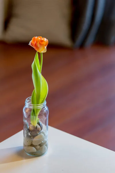 Belle Ampoule Tulipe Fleurs Orange Avec Lumière Naturelle Table Blanche — Photo