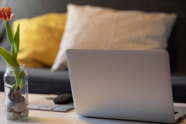 Modern workplace with notebook and little tree copy space on gray background. Top view. Flat lay style.