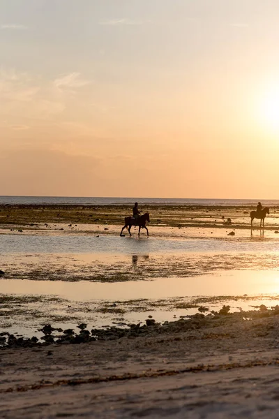 Isola Gili Trawangan Lombok Indonesia 2018 Maggio Tramonto Con Cavalieri — Foto Stock