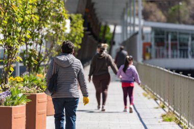 İlkbaharda bahar çiçekleri