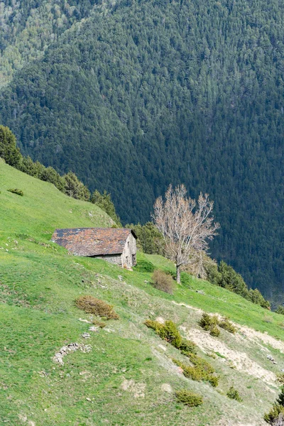 Altes Haus Fluss Montaup Canillo Andorra Frühling — Stockfoto