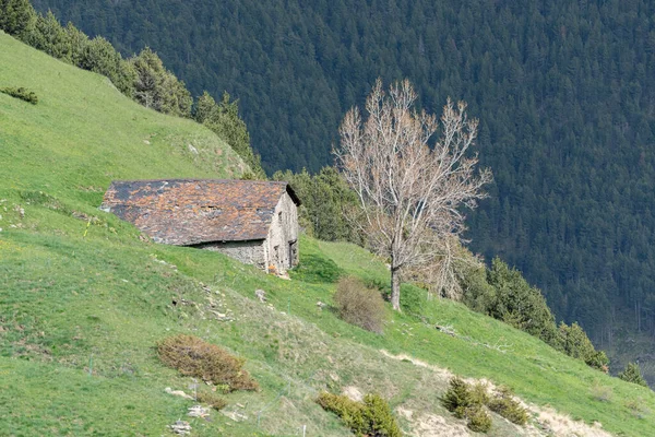 Altes Haus Fluss Montaup Canillo Andorra Frühling — Stockfoto