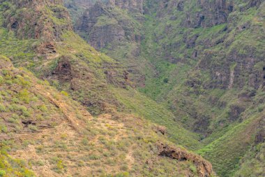 Tenerife 'deki Barranco del Infierno' nun güzel manzaraları.