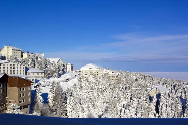 Scène Hivernale Uludag Turquie — Photo