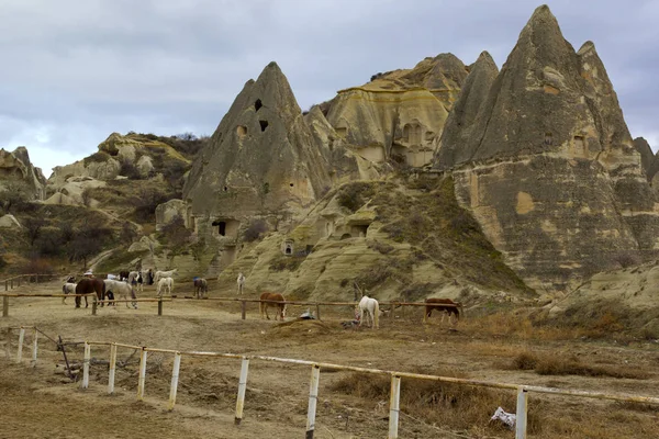 Schöne Aussicht Kappadokien Goreme Truthahn — Stockfoto