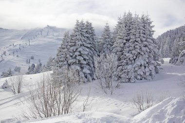 Beautiful views in Uludag, Turkey
