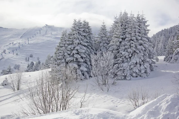 Prachtig Uitzicht Uludag Turkije — Stockfoto