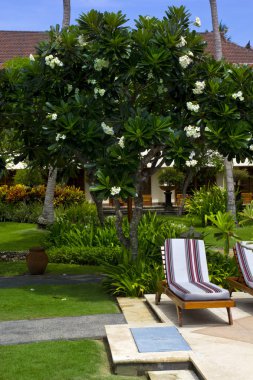 Bali Resort 'ta güzel bir sahne