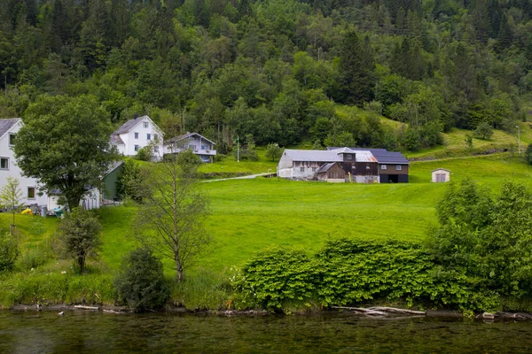 ノルウェーの美しい家と緑の自然 — ストック写真