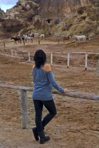 Jonge Vrouw Kijkt Naar Paarden Cappadocia Goreme — Stockfoto
