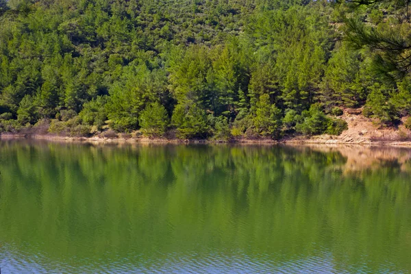 土耳其巴拉班湖中树木的倒影 — 图库照片