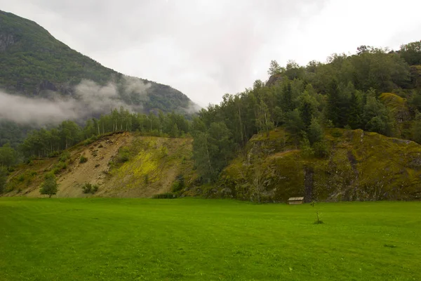 Озил Впечатляющая Зеленая Природа Норвегии — стоковое фото