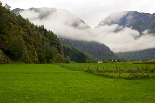 Prachtige Indrukwekkende Groene Natuur Noorwegen — Stockfoto