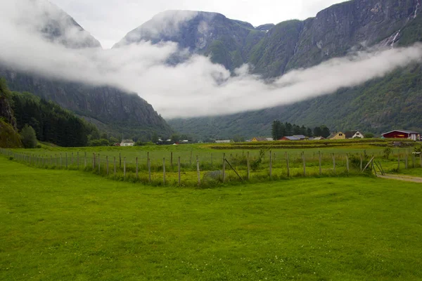 Bela Impressionante Natureza Verde Noruega — Fotografia de Stock