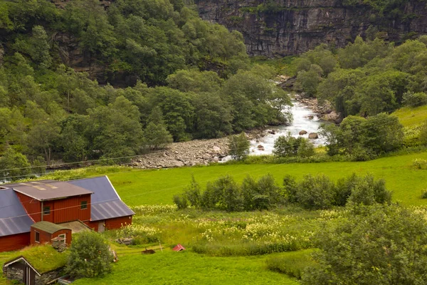 Vacker Och Imponerande Grön Natur Norge — Stockfoto