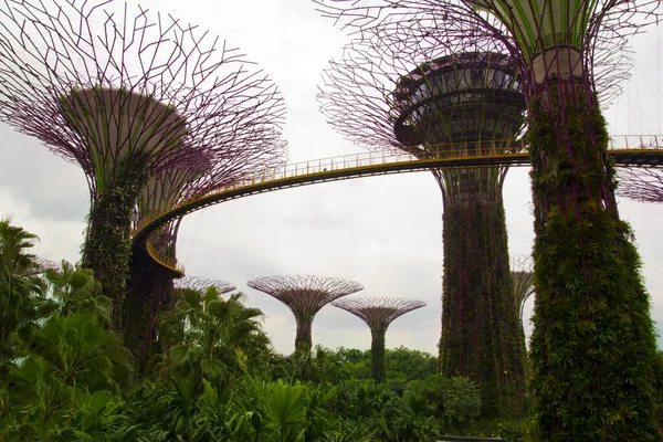 Jardim Pela Baía Singapura Ásia — Fotografia de Stock