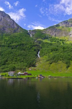 Yeşil doğada güzel bir manzara ve Norveç 'te dağlar 