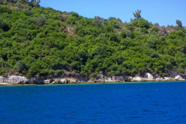 Sigacik 'te mavi gökyüzü yeşil doğayla güzel bir manzara