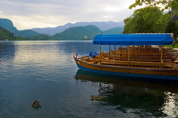 Krásná Scéna Lake Bled Slovinsko — Stock fotografie