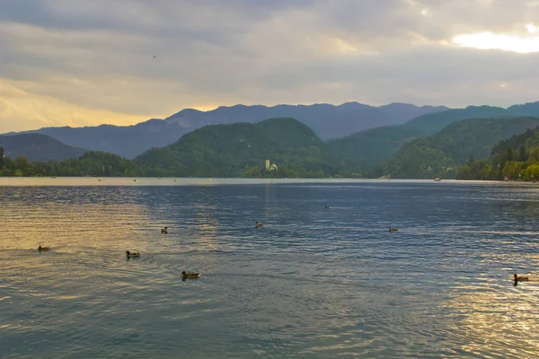 슬로베니아 브레드 호수의 아름다운 — 스톡 사진