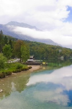 Slovenya, Bohinj Gölü 'nde güzel manzara ve yeşil doğa