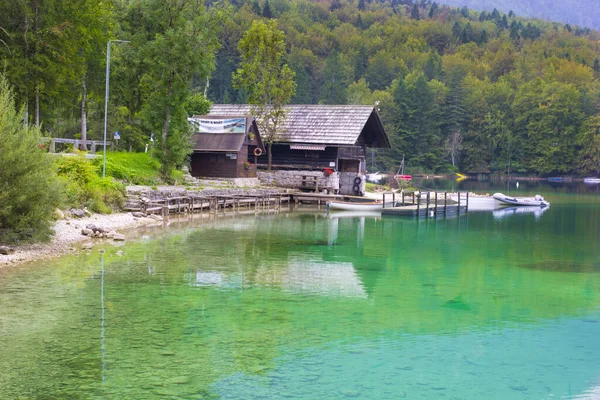 Прекрасна Сцена Зелена Природа Озері Бохіндж Словенія — стокове фото