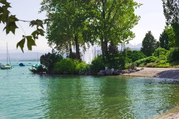 Piękna Scena Nad Jeziorem Zurych Zurychu Szwajcarii — Zdjęcie stockowe