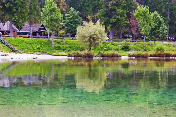 Прекрасна Зелена Природа Озері Бохіндж Словенія — стокове фото