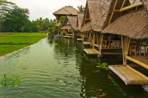 Endonezya Bali Deki Ubud Güzel Yeşil Manzara — Stok fotoğraf