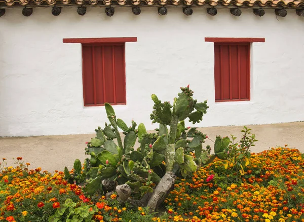 窓のある家の前のサボテンや花 — ストック写真