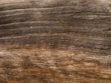 Kabuksuz eski bir ağaç gövdesinin yapılandırılmış yüzeyi