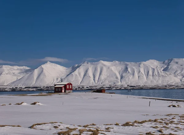 Ett Rött Hus Islands Kust Framför Snöiga Berg — Stockfoto