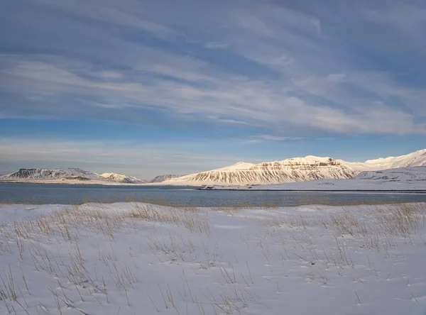 Snöig Äng Islands Kust Med Berg Bakgrunden — Stockfoto
