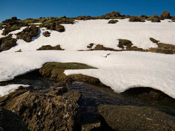 Liten Fjällbäck Ett Tunt Lager Snö Våren — Stockfoto