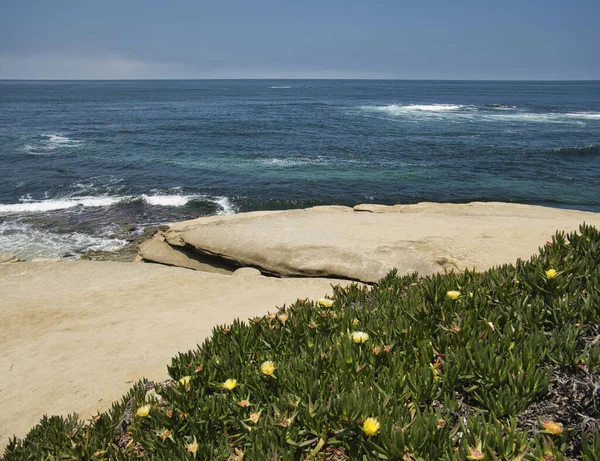 Gładkie Skały Żółte Kwiaty Wybrzeżu Kalifornii — Zdjęcie stockowe