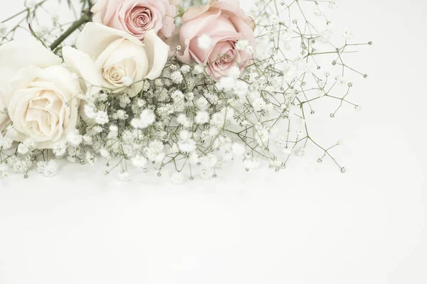 Beautiful white and pink roses on white background — Stock Photo, Image