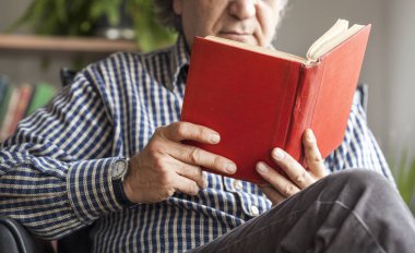 Son sınıf öğrencisi kitap okuyor.