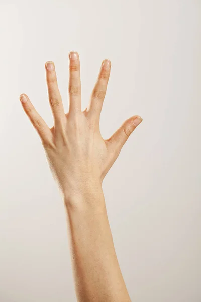 Femme main montrant le numéro cinq — Photo