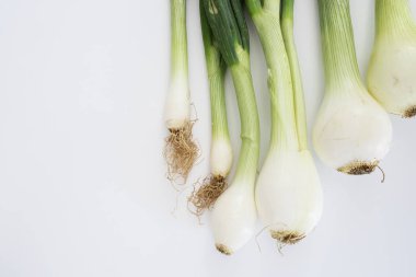 beyaz zemin üzerine yeşil soğan