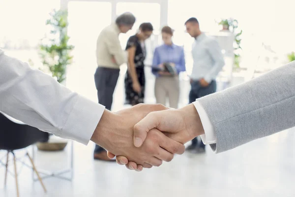 Business handshake and business people — Stock Photo, Image