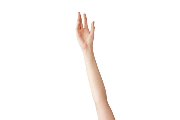 Weibliche Hand Die Sich Auf Isoliertem Hintergrund Ausstreckt — Stockfoto