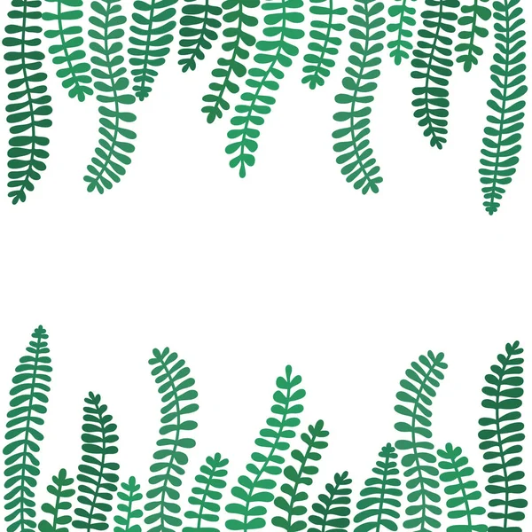 有绿色丛林树叶的矢状平面插图 带有文本位置的热带模式 — 图库矢量图片