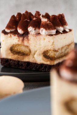 Tiramisu, mascarpone ve kahveli klasik tatlı. Hafif mermer arka planda koyu bir tabakta nefis bir Tiramisu keki. Dikey fotoğraf.